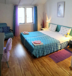 Отель Apartments Dandolo  Ровинь